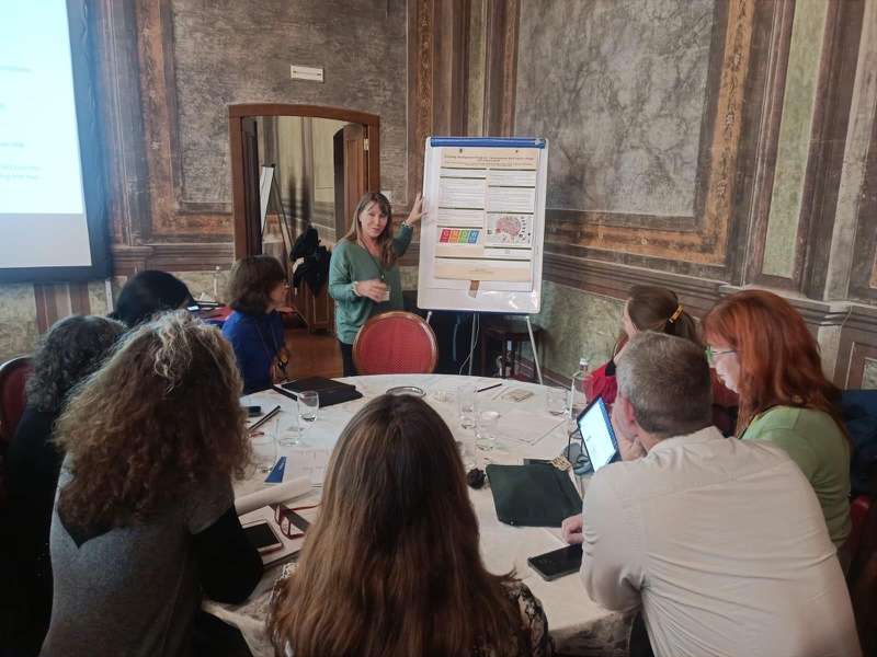 A Proportione professional presents a work plan to a group in a meeting room